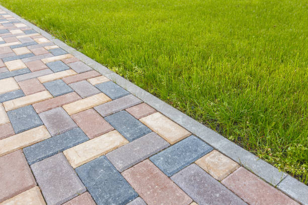 Best Brick Paver Driveways in Hercules, CA